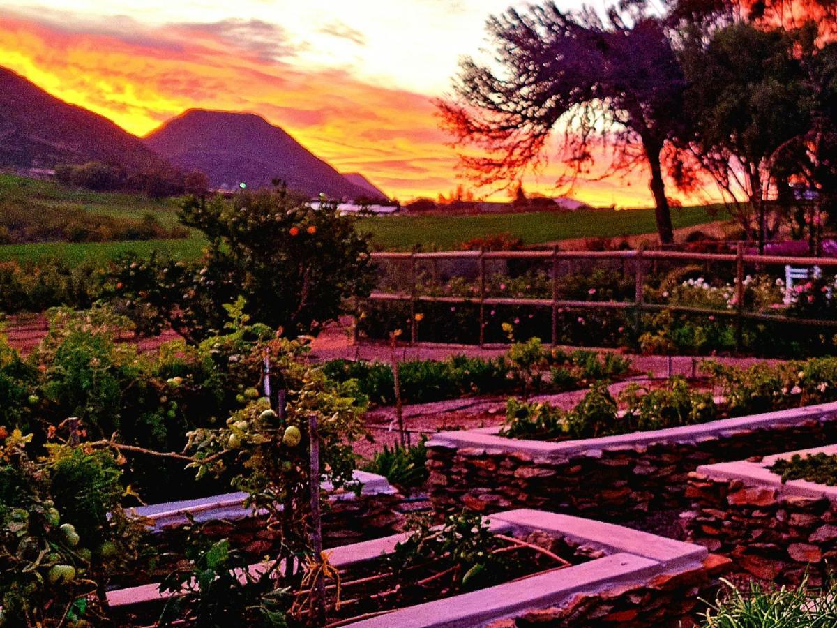 Pjure Boutique Hotel & Spa Montagu Exterior photo