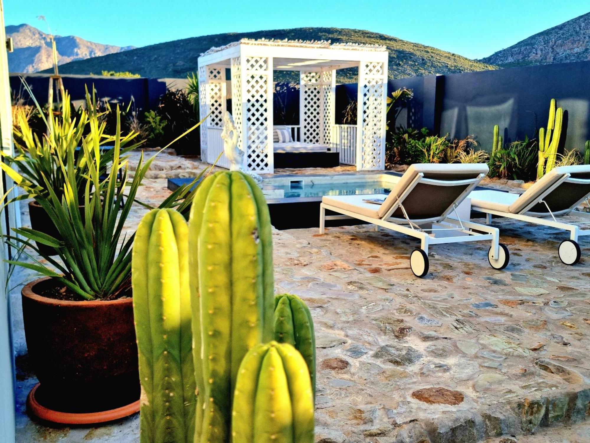 Pjure Boutique Hotel & Spa Montagu Room photo